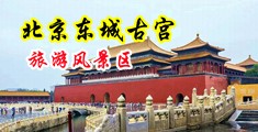 爆操双马尾jk中国北京-东城古宫旅游风景区